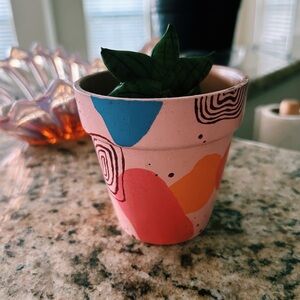 hand painted plant pot